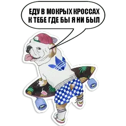 Sobachki sticker 7