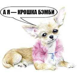 Sobachki sticker 8