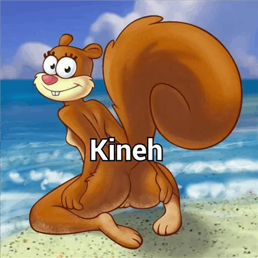 بکن های kineh sticker 3