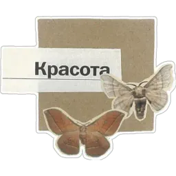 Буквы из газеты Telegram sticker pack