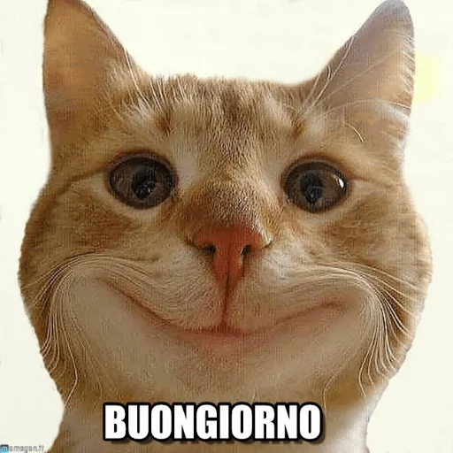 bordello sticker 12