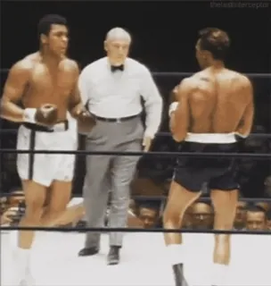 boxing_video sticker 4