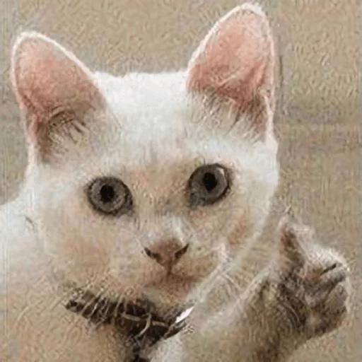 Broken Cats sticker 3