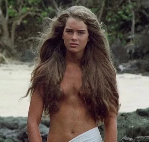 @bieberbizzle | Brooke shields sticker 13