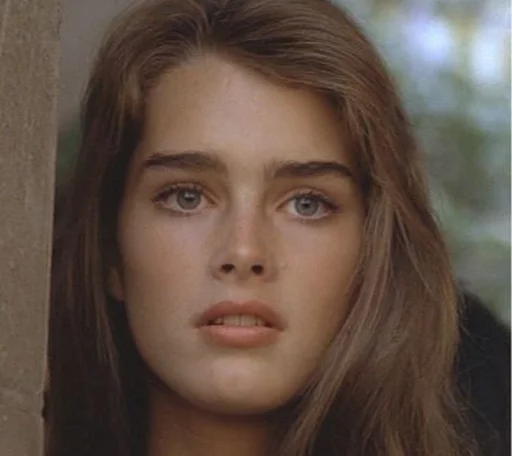 @bieberbizzle | Brooke shields sticker 16