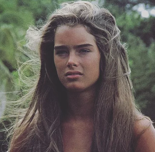 @bieberbizzle | Brooke shields sticker 18