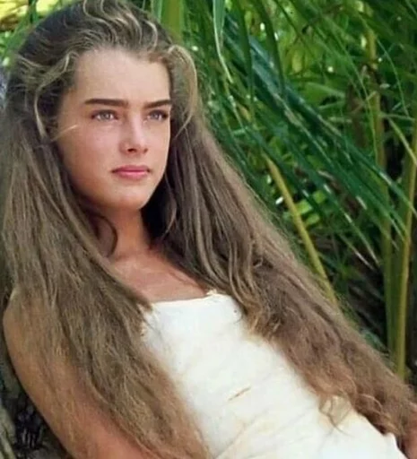 @bieberbizzle | Brooke shields sticker 6