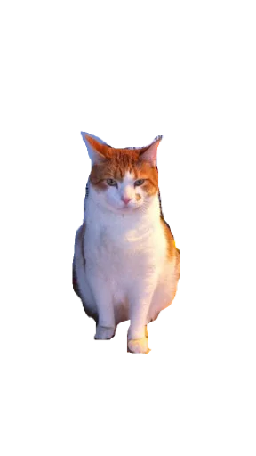 bunsen sticker 6