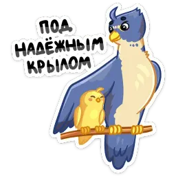 #МойПервыйБизнес sticker 5