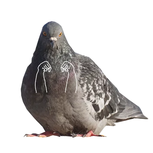 buxanka by @fStikBot sticker 4