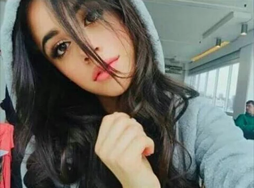 Camila_cab sticker 4