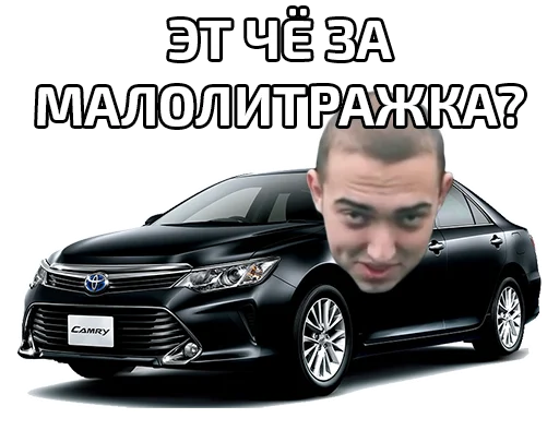 camry3.5 sticker 3