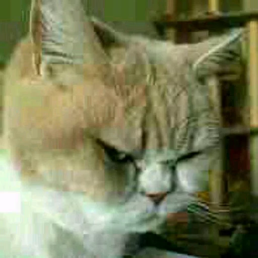 ҳɛզųɛ ɱąɬɛ Splɑรɦ sticker 6