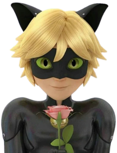 Cat Noir - Miraculous sticker 4