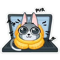 Сет :: @stickroom sticker 4