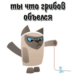 Кот Вредина @stickerus Telegram sticker pack