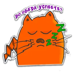 Cat the designer sticker 10