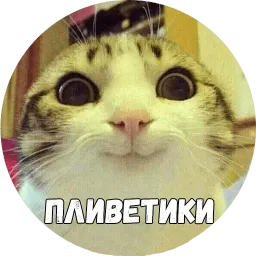 Байной? sticker 2