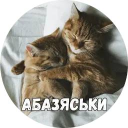 Байной? sticker 11