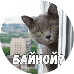 Байной? sticker 12
