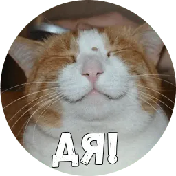 Байной? sticker 5