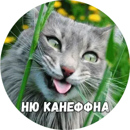 Байной? sticker 6