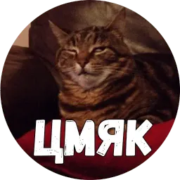 Байной? sticker 7
