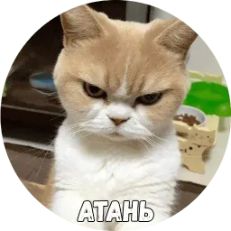 Байной? sticker 8