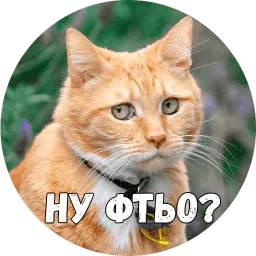Байной? sticker 9