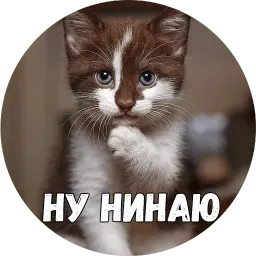 Байной? sticker 10