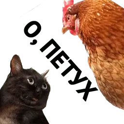 Котики от @MedMary sticker 6