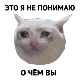 Котики от @MedMary sticker 7