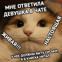 Котики от @MedMary sticker 8