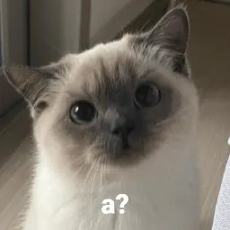 котики и мы sticker 11