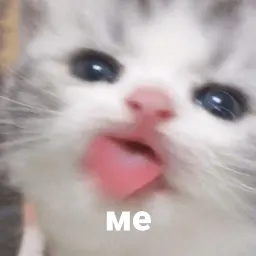 котики и мы sticker 6