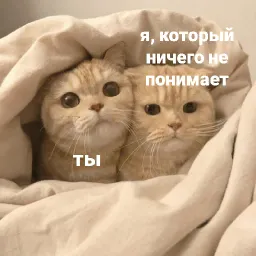 котики и мы sticker 8