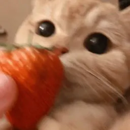 котики и мы sticker 10