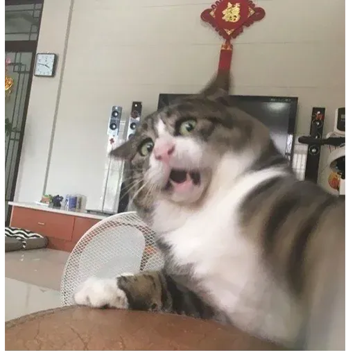 Not So Polite Cats sticker 103