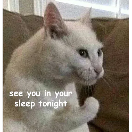 Not So Polite Cats sticker 13