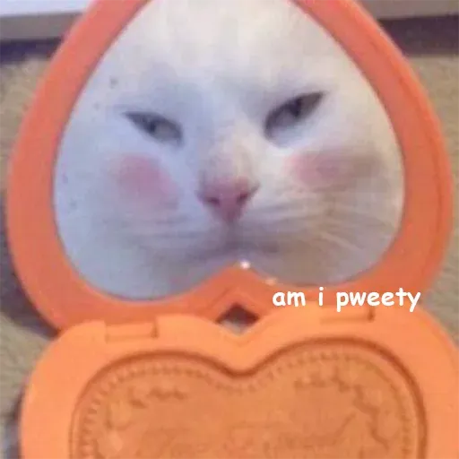Not So Polite Cats sticker 26