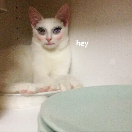 Not So Polite Cats sticker 51