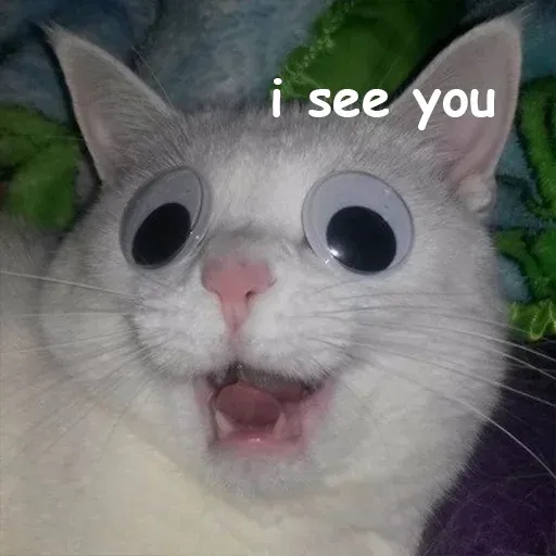 Not So Polite Cats sticker 10