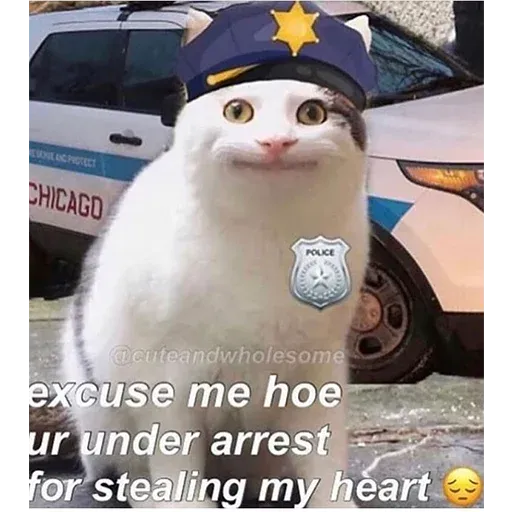 Not So Polite Cats sticker 99