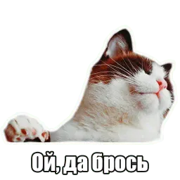 Мысли котов sticker 2