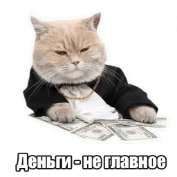 Мысли котов sticker 11
