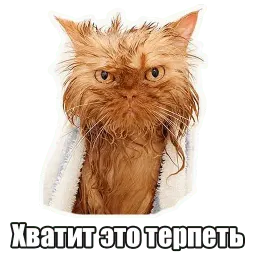 Мысли котов sticker 12