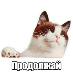 Мысли котов sticker 3