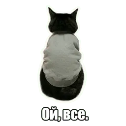 Мысли котов sticker 4