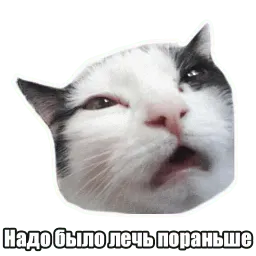 Мысли котов sticker 7