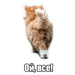 Мысли котов sticker 8